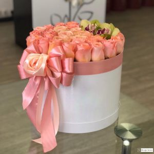 00D03599-3781-4BD7-B3B3-794213CF1030