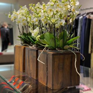 07213a99-d883-4ee3-83a1-7b6d5081182d