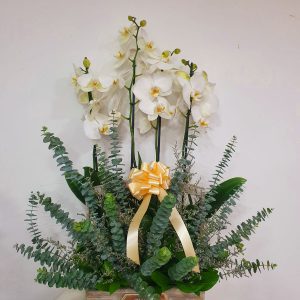 0edda30f-cb7e-480c-92c2-98109dfc2a1a