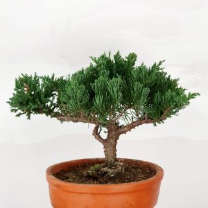 1490cb76-df2c-4eef-a00a-bfeb78fca51b