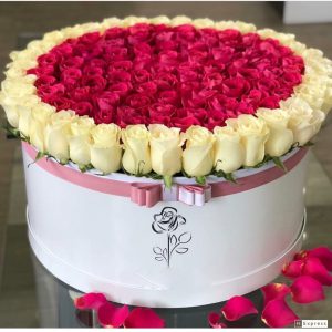 1833A7C4-65C2-48B4-950F-3B9221EFFA67