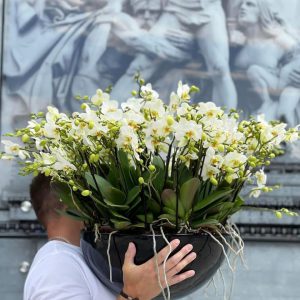 3087eff3-47ec-4cd2-88f1-eef818d0554a