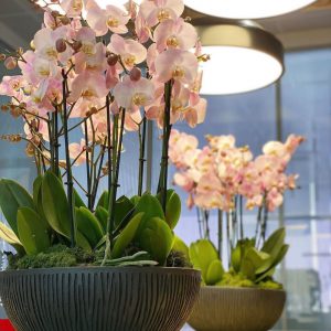 5425f531-51c3-41f5-b620-69de724454ef