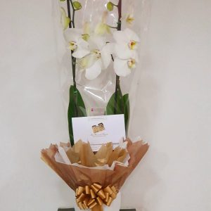 55ddb3db-66f1-4798-8e06-373b4e16123b