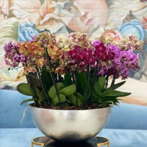 5d9368dc-0b37-4671-812e-1cfc0cd831ca