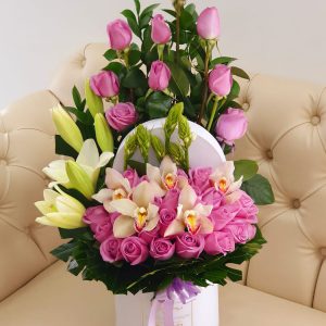 696556ab-7a2a-45c4-8706-3b24ea6588bf