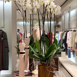 704534de-c303-42ba-bd89-f04abd423b04