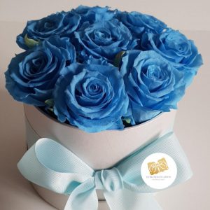 73e53eea-3236-43eb-863d-25dc6935917f