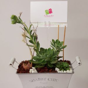 77b8f939-bc38-4d21-b34b-36c495ffc91d