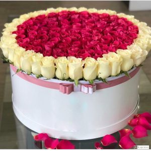 7FDD02E2-0E85-4D50-AA15-10F1782FCA89