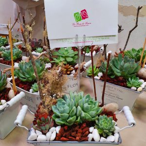 86b0f03c-de1b-4c12-8465-859f1085fe5f