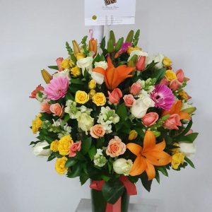 8e28f17a-2ab7-4614-9c04-657a35300518