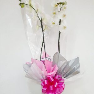 91d781c7-4602-42df-8939-ec81f1075599