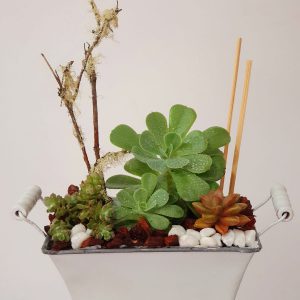 9697095f-9ed0-4c35-9da9-3d9cf5b1f099