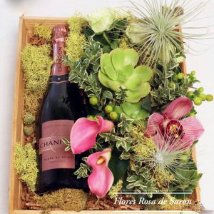 C3CC9C6B-6D04-4281-9DB9-F1A8EE9B895F