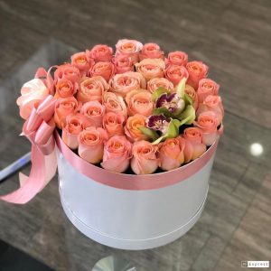 DAB46ED0-7CD0-40F8-B55D-70B0487198A2