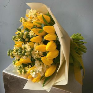 a652ff4b-84c6-4916-882b-b13b5472c295