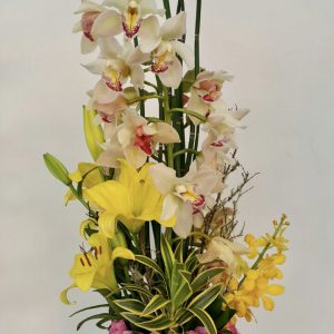 aebed549-fedf-4446-b8f8-ec06d3d3cf4e