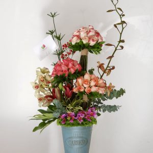 bf2b9106-f8fe-4b2f-9584-e9beb9558390