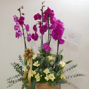 c0ca5963-6f8d-4518-bf94-741ce67c898b