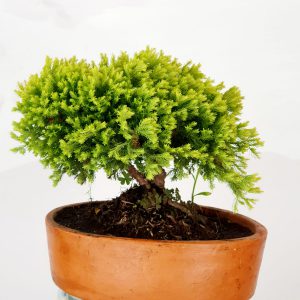 cc0ee429-da47-4b3b-98bd-6b051d258538