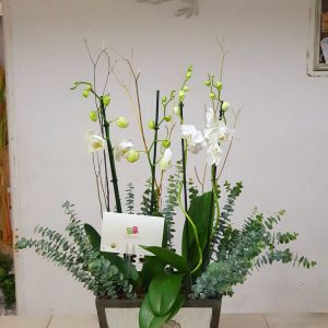 d11f95c9-e677-47f1-96ff-dcb55781b776