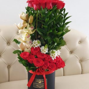 d3d6e758-73d3-4c88-8bac-eabf2c509a3e