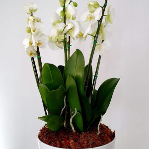 d4696977-2693-4b6d-aab6-96bcc096940d