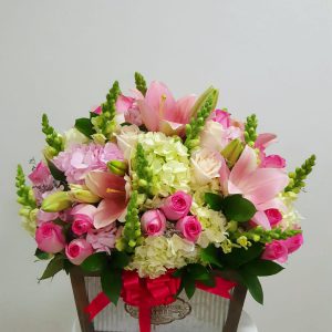 d70eac47-ae42-4544-8e99-953b41d38983 d70eac47-ae42-4544-8e99-953b41d38983