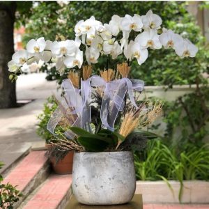 d7658e21-e4ab-4055-9282-8ef19b53982f d7658e21-e4ab-4055-9282-8ef19b53982f