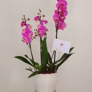 de18f263-734f-443b-9172-d2a68c852bc8