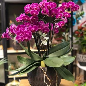 def450e4-0fa4-44a9-9871-520002d65eed