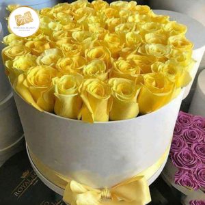 e5a4809b-ca04-4eee-ba7e-608bb333dc76