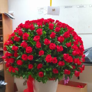 3512c258-3612-43aa-a2e4-b4c3d55703c1