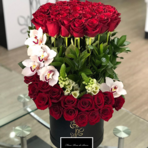 6F1553FA-1020-415B-BC84-06EC6D2E83CF