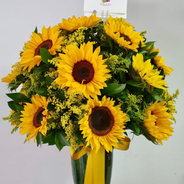Girasoles 1