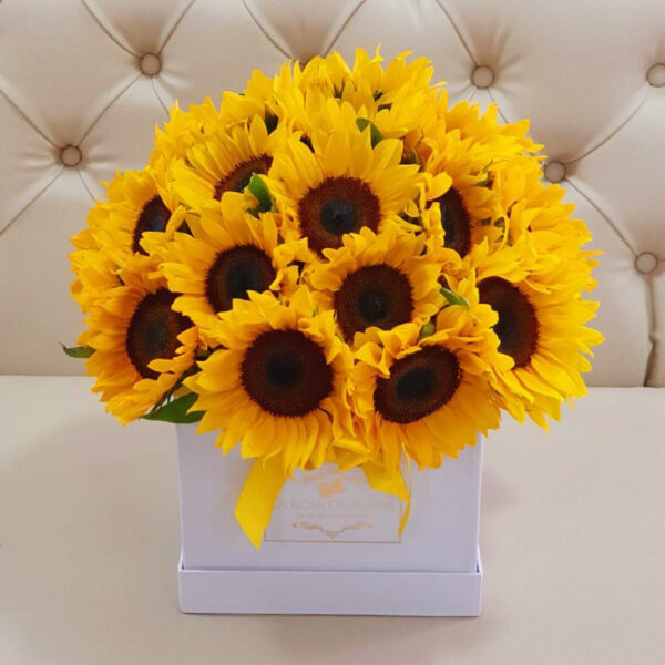 Girasoles 4