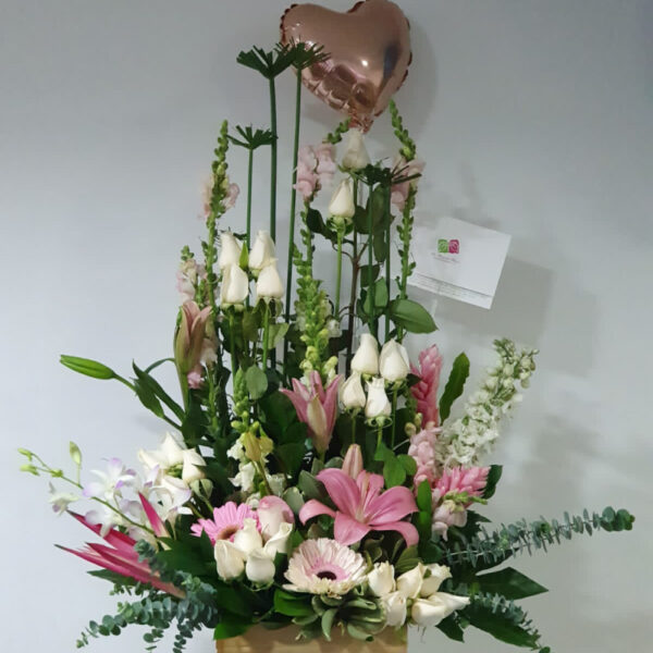 Nacimiento 3