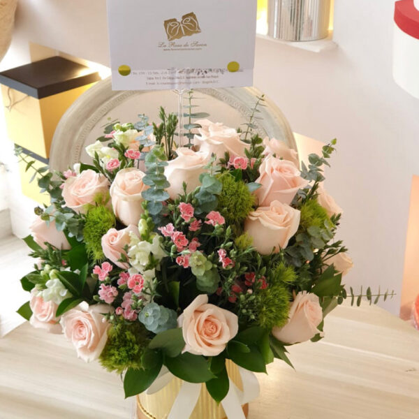 Rosas 1