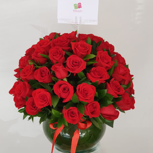 Rosas 5