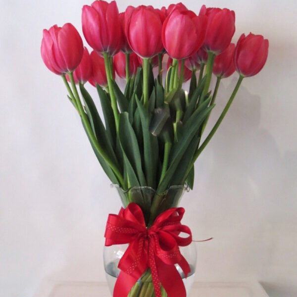 Tulipanes 2