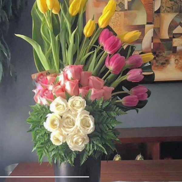 Tulipanes 3
