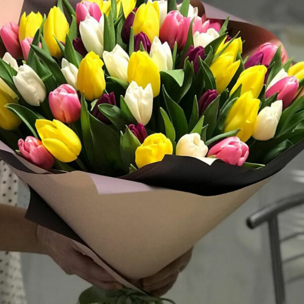 Tulipanes 4